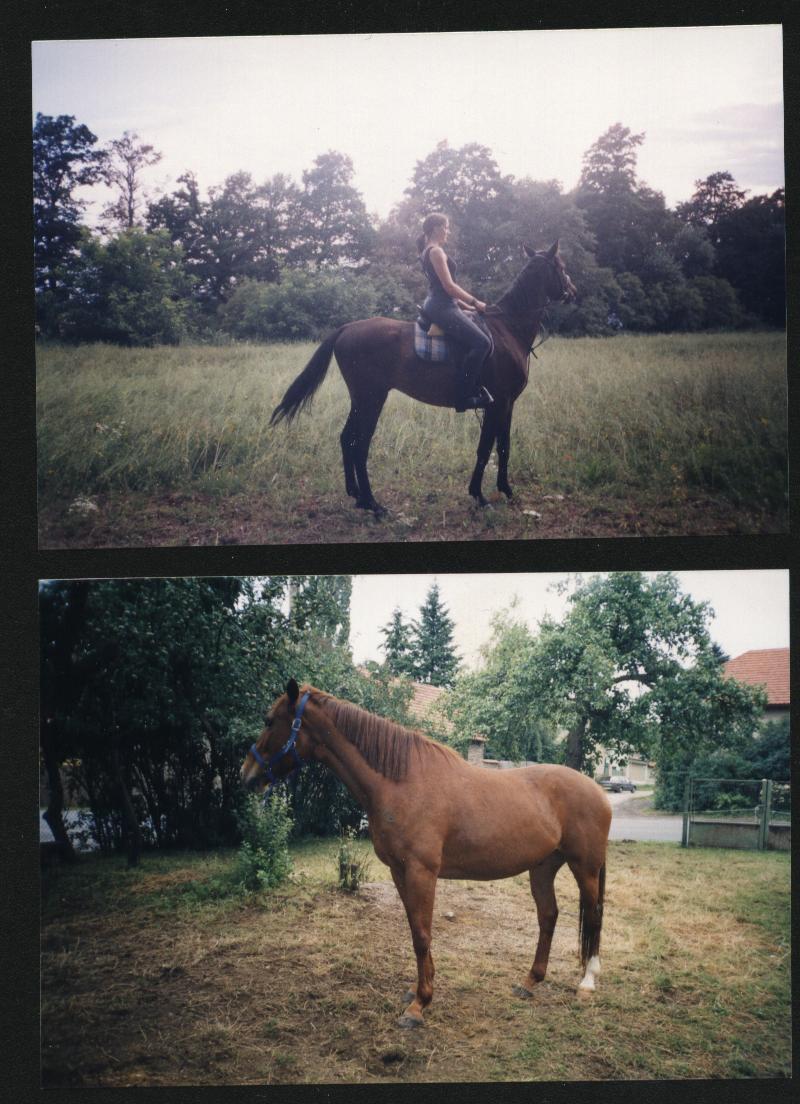 Snímek 013.jpg