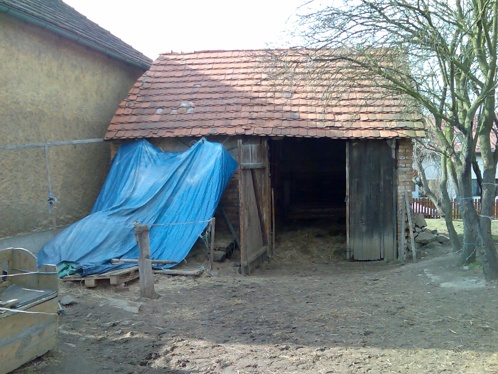 Nový obrázek.JPG