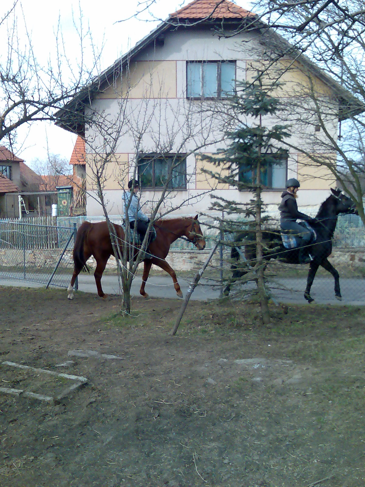 Nový obrázek1.JPG