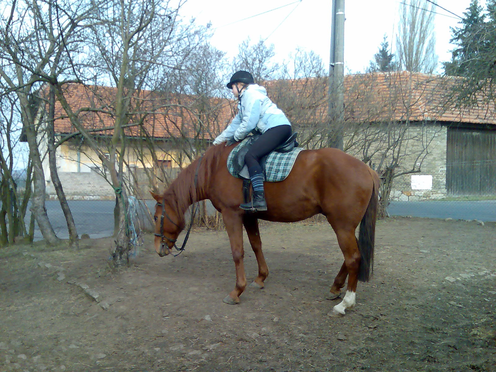 Nový obrázek5.JPG